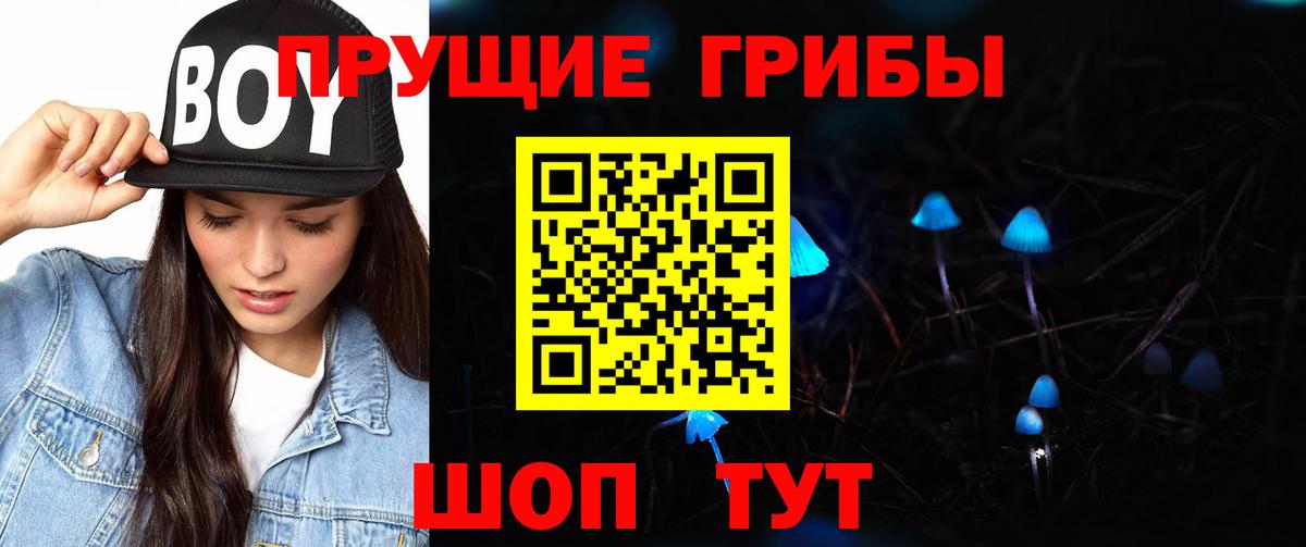 Петропавловск-Камчатский  где купить наркотик  Галлюциногенные грибы Psilocybe  Вход с VPN  Галлюциногенные грибы мицелий 