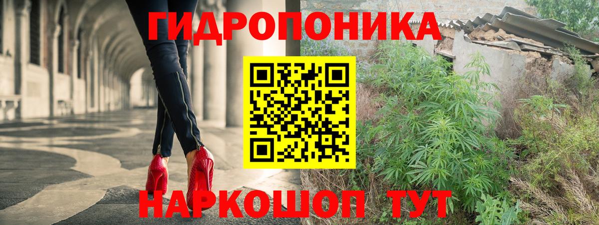Каннабис OG Kush Петропавловск-Камчатский